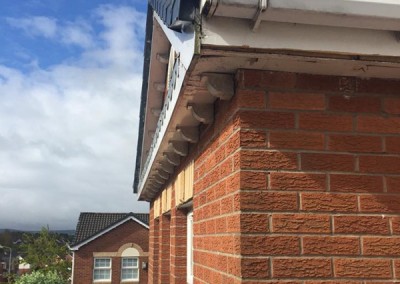 Pvc Fascia and gutters replaced